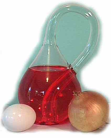 A Klein Bottle filled with Red Wine, with an egg and onion to show size